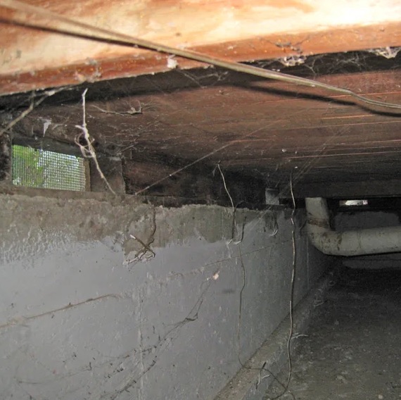Crawl Space Water Extraction in West Lake Hills, TX