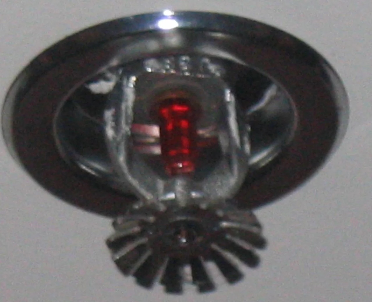 Sprinkler System Water Removal in West Lake Hills, TX