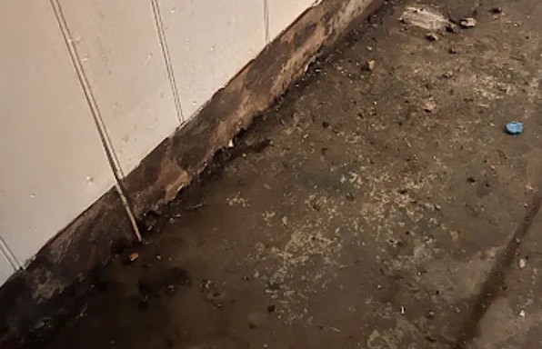 Sewage Water Extraction in West Lake Hills, TX